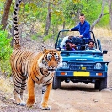 Jim Corbett
